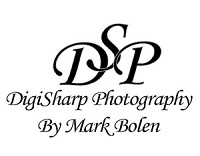 DigiSharp Photography | 16188 Hill Forest Dr, Linden, MI 48451, United States | Phone: (810) 629-6782