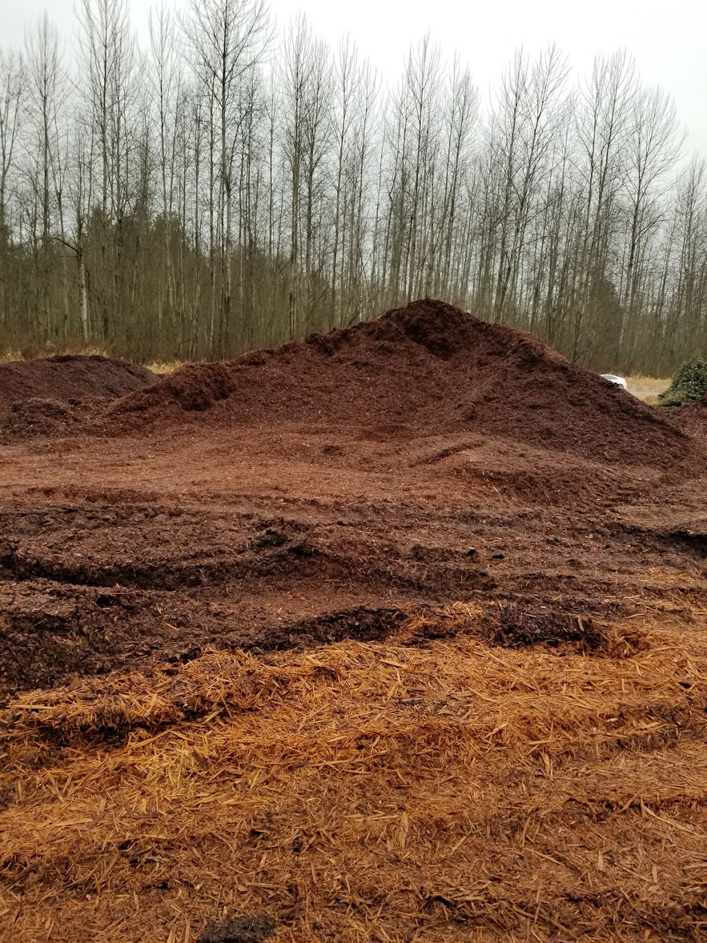 Hillside Gardens Sawdust & Shavings Co | 27213 WA-410 E, Buckley, WA 98321, USA | Phone: (360) 829-2707