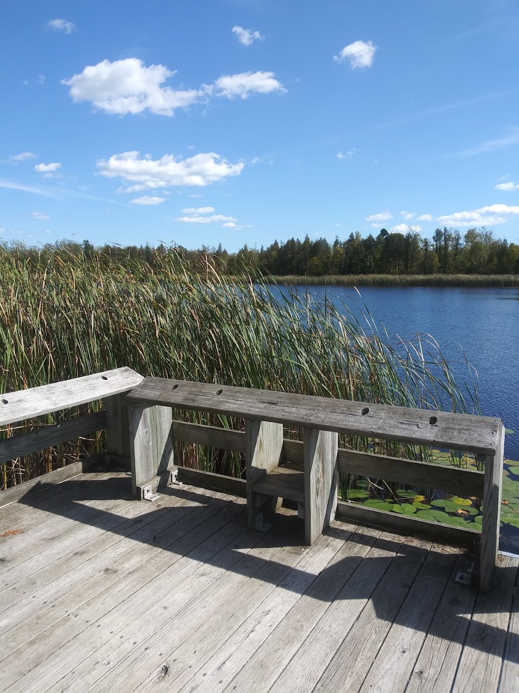 Cedarburg Bog State Natural Area | WI-33, Saukville, WI 53080, USA | Phone: (262) 675-6844