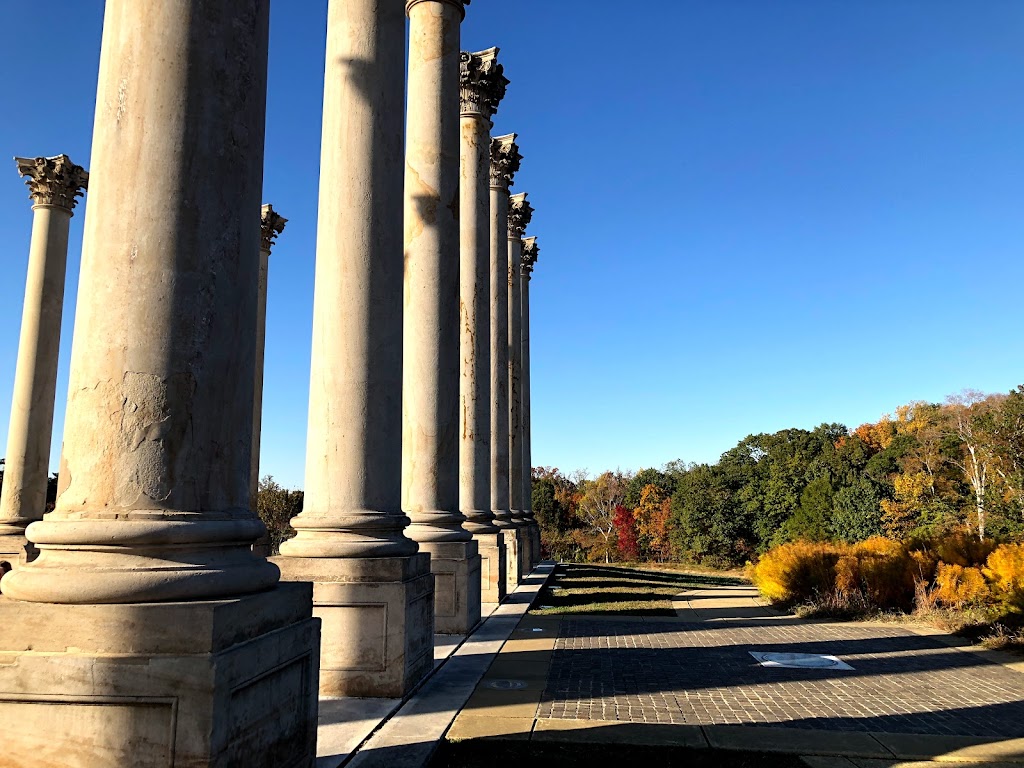 Arboretum Recreation Center | 2412 Rand Pl NE, Washington, DC 20002 | Phone: (202) 727-5547