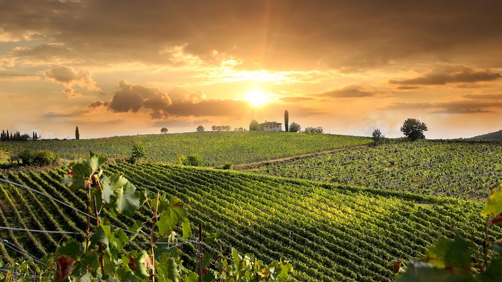 El Gaucho Winery | 21301 Kathy Ln, Spicewood, TX 78669, USA | Phone: (512) 382-0620