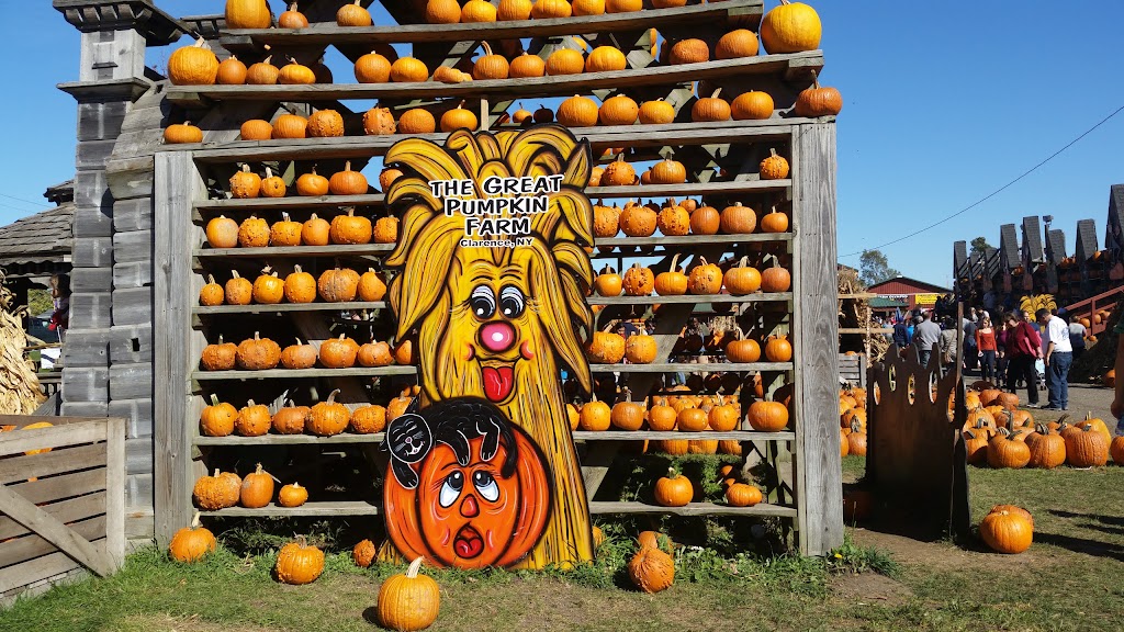 Great Pumpkin Farm | 11199 Main St, Clarence, NY 14031, USA | Phone: (716) 759-1929