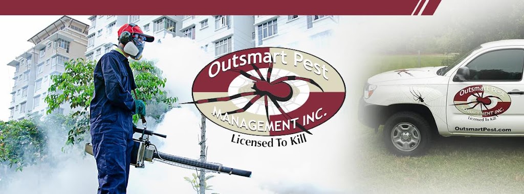 Outsmart Pest Management | 4814 Parkway Blvd, Land O Lakes, FL 34639 | Phone: (813) 973-1814