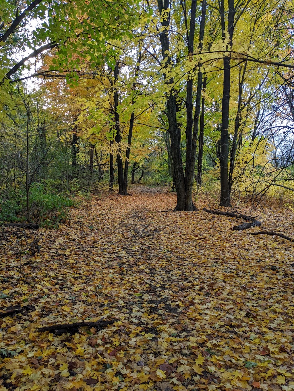 Silver Creek Metro Park Archery Range | 196 Eastern Rd, Doylestown, OH 44230, USA | Phone: (330) 867-5511