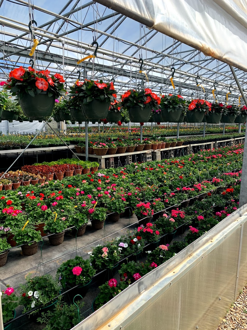 Dayton Nurseries, Inc. | 3459 S Cleveland Massillon Rd, Norton, OH 44203 | Phone: (330) 825-3320