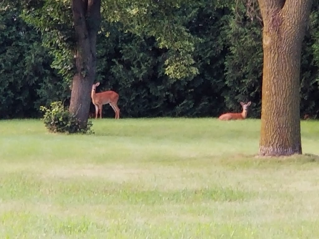 Farmington Lutheran Cemetery | 6265 245th St W, Farmington, MN 55024, USA | Phone: (651) 463-4100