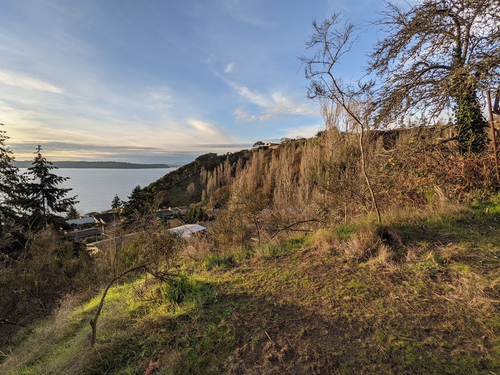 Arroyos Natural Area | 4120 SW Arroyo Dr, Seattle, WA 98146, USA | Phone: (206) 684-4075