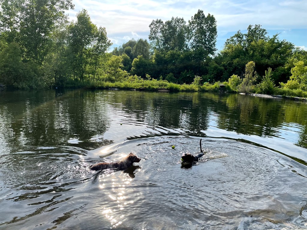 Paw Run Private Dog Park | 6886 Zeeb Rd, Dexter, MI 48130, USA | Phone: (734) 476-1620