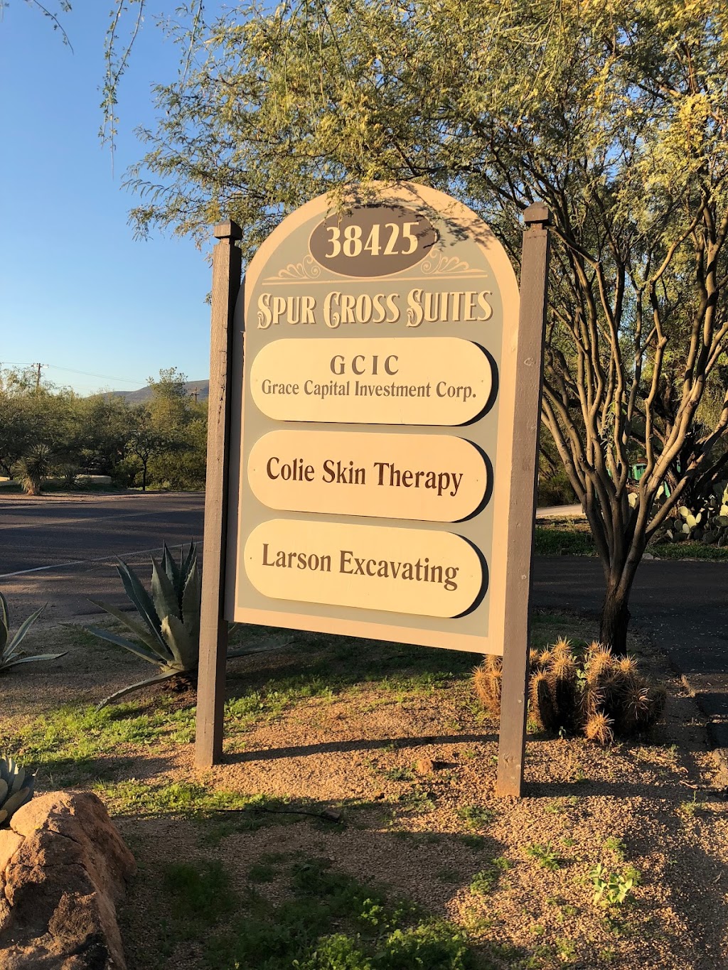 Colie Skin Therapy | 38425 N Spur Cross Rd Suite #3, Cave Creek, AZ 85331 | Phone: (480) 865-4979