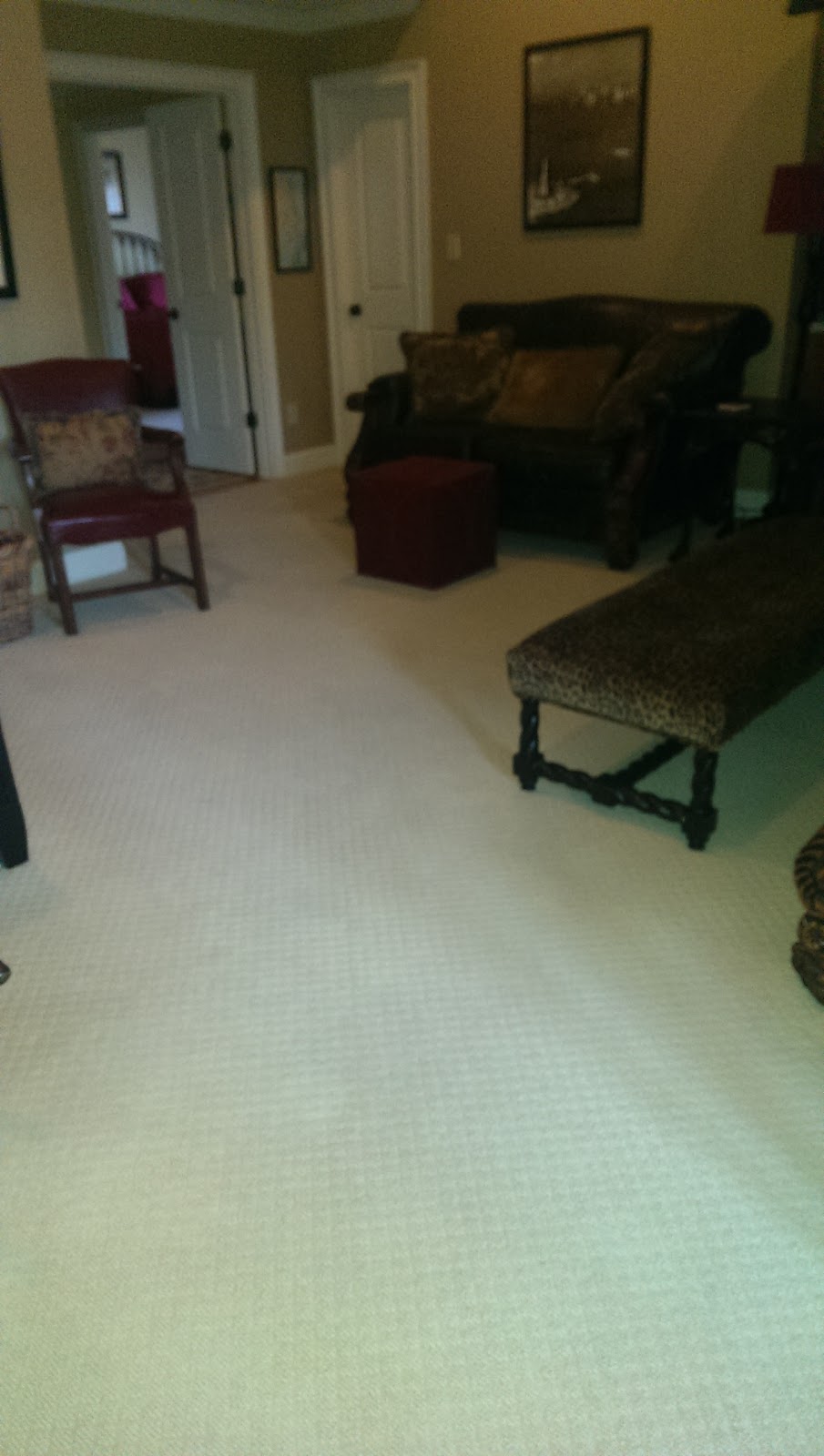 Chem-Dry Carpet Specialist | 4909 Waters Edge Dr Suite 110, Raleigh, NC 27606, USA | Phone: (919) 859-1940