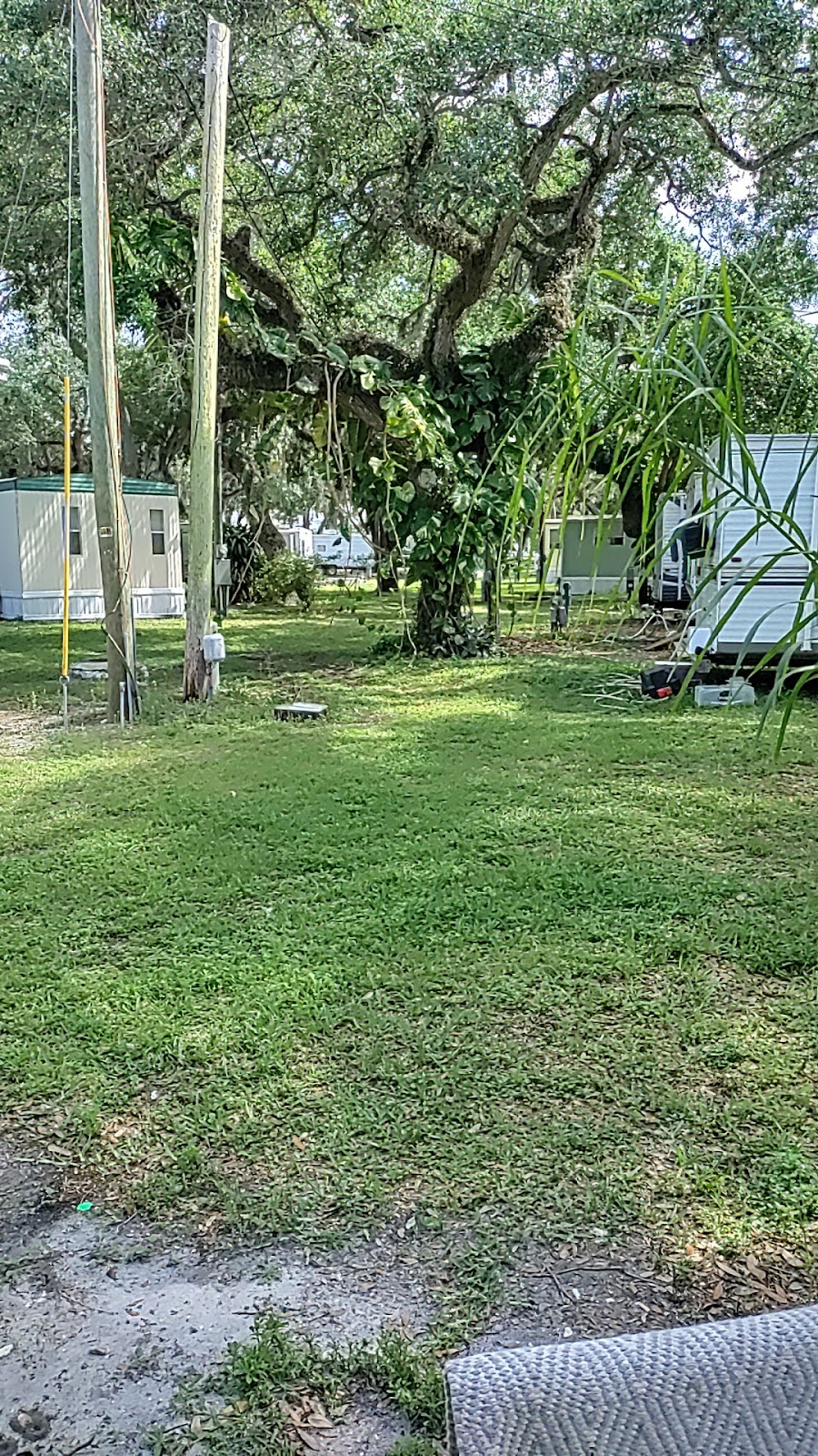 Shady Acres Mobile Home Park | 14417 US-19, Hudson, FL 34667, USA | Phone: (727) 868-9589