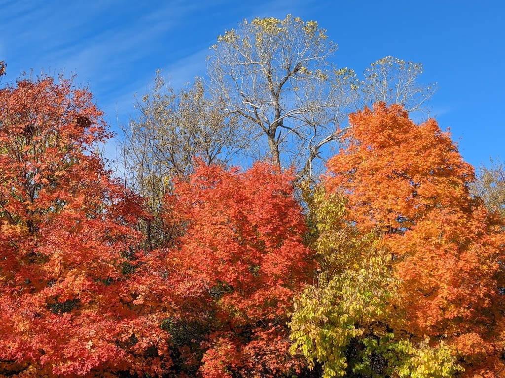 Dillon Nature Center | 3002 E 30th Ave, Hutchinson, KS 67502, USA | Phone: (620) 663-7411