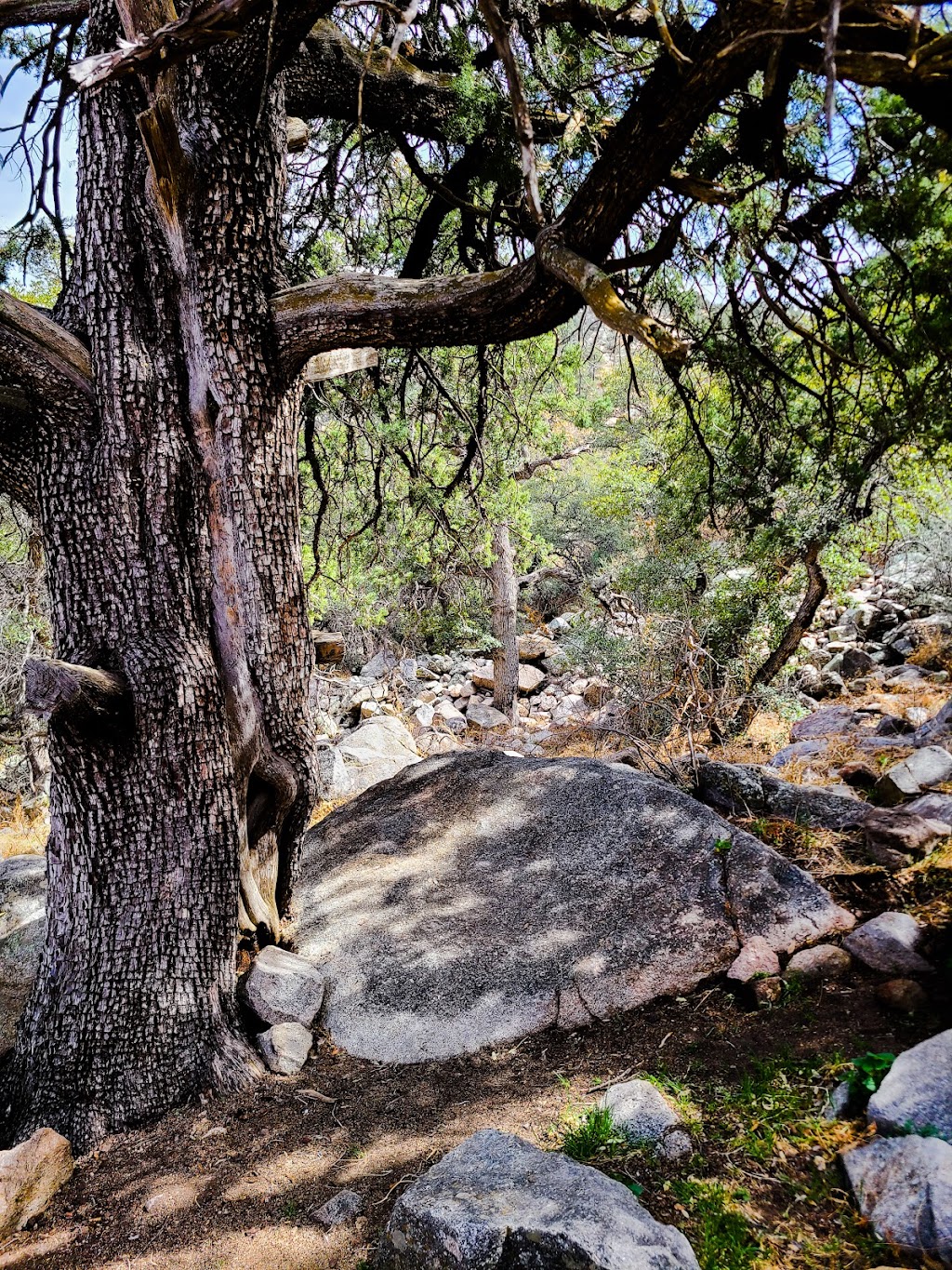 Aguirre Spring Campground | Aguirre Springs Rd, Las Cruces, NM 88011, USA | Phone: (575) 525-4300