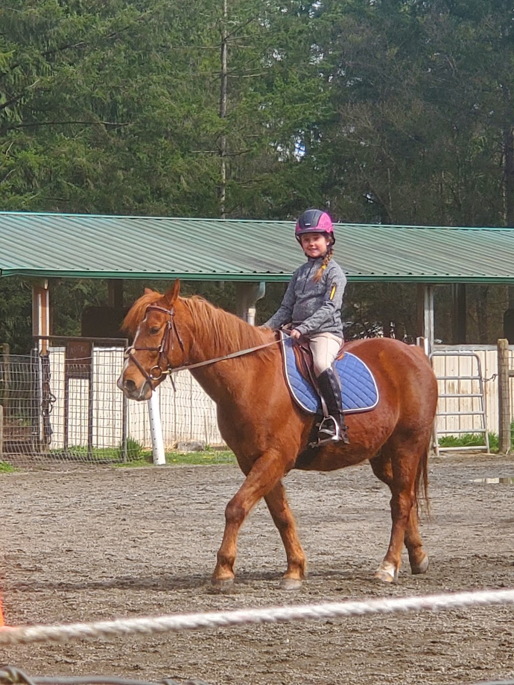 Grand Farms Riding Academy | 12604 189th Ave NW, Gig Harbor, WA 98329, USA | Phone: (360) 558-9469