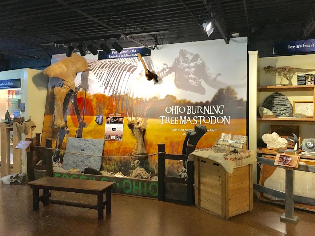 Akron Fossils & Science Center | 2080 S Cleveland Massillon Rd, Copley, OH 44321 | Phone: (330) 665-3466