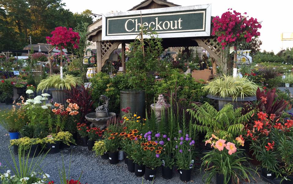 Bountiful Gardens | 1536 Lower Ferry Rd, Ewing Township, NJ 08618, USA | Phone: (609) 583-5167