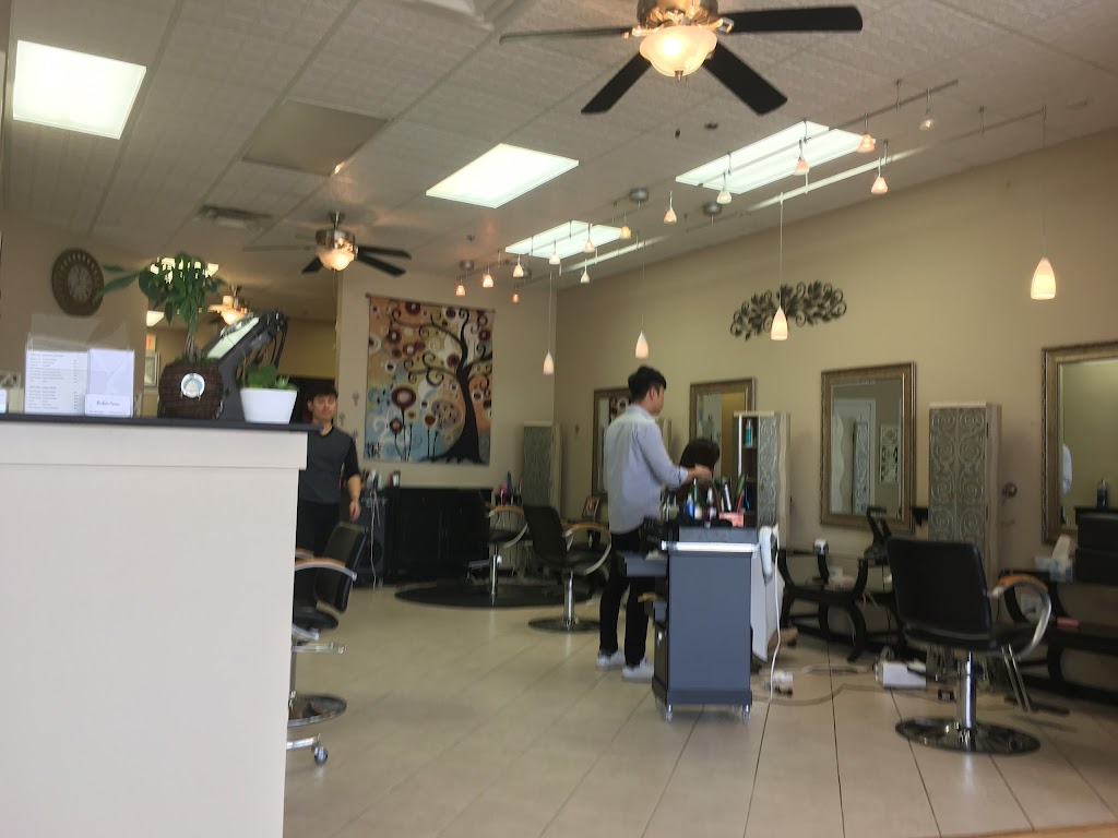 Salon Aveo | 737 E Dundee Rd, Arlington Heights, IL 60004, USA | Phone: (224) 347-2094