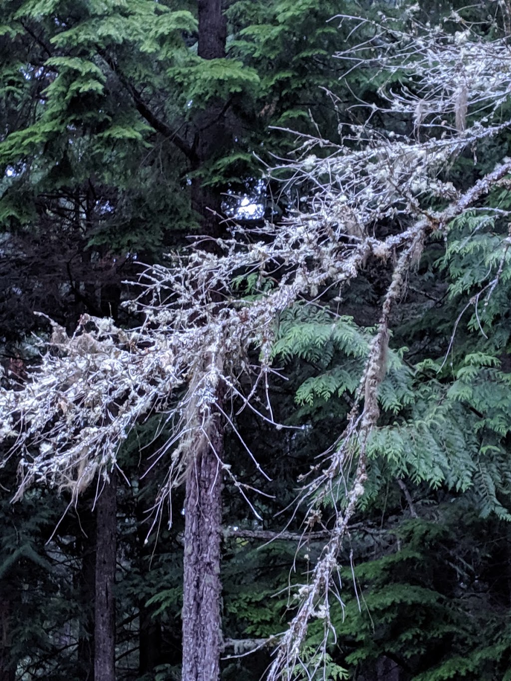 Navy Gateway Inns & Suites | 2750 Sargo Cir, Silverdale, WA 98315, USA | Phone: (360) 930-6830