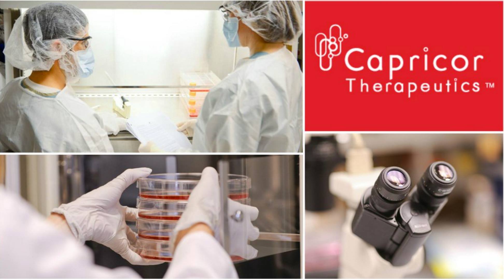 Capricor Therapeutics, Inc. | 8840 Wilshire Blvd 2nd Floor, Beverly Hills, CA 90211, United States | Phone: (310) 358-3200