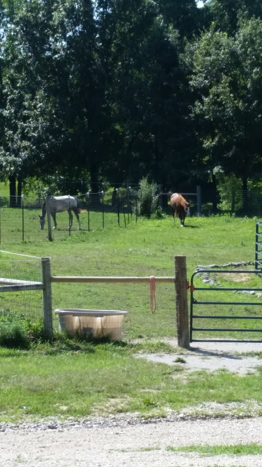 Silver Spurs Equestrian Center | 357 State Hwy EE, Winfield, MO 63389, USA | Phone: (636) 668-8683 Silver Spurs Equestrian Center | 357 State Hwy EE, Winfield, MO 63389, USA | Phone: (636) 668-8683