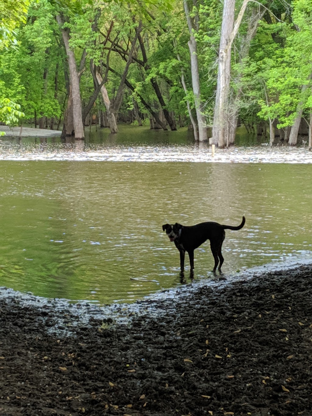 Minnehaha Dog Park | 5399 Minnehaha Park Dr S, Minneapolis, MN 55417, USA | Phone: (612) 230-6400