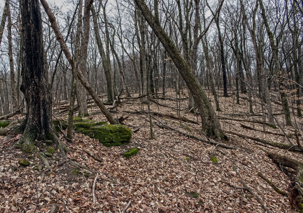 Abrahams Woods State Natural Area | W2379 Oliver Rd, Albany, WI 53502, USA | Phone: (608) 266-0394