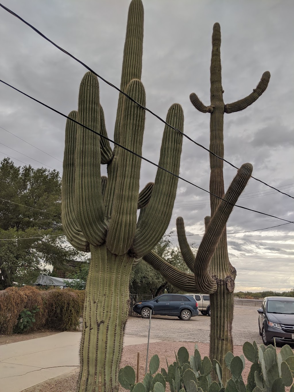 Discover Marana Visitor Center | 13251 N Lon Adams Rd, Marana, AZ 85653, USA | Phone: (520) 639-8040