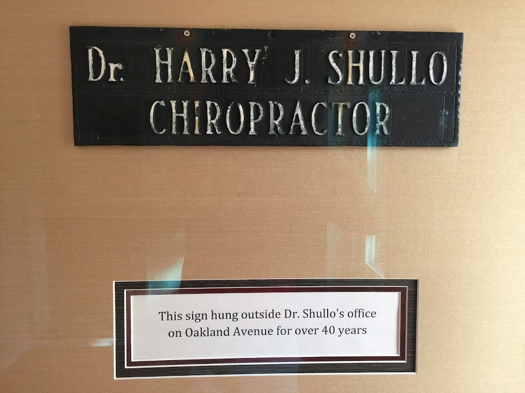 Harry J. Shullo D.C. | 3085 Mayfield Rd, Silver Lake, OH 44224, USA | Phone: (330) 434-2290