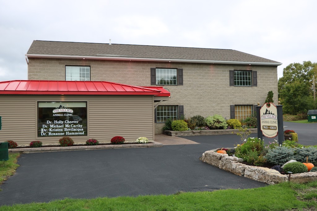 The Village Animal Clinic | 70 School Rd, Voorheesville, NY 12186, USA | Phone: (518) 765-0111