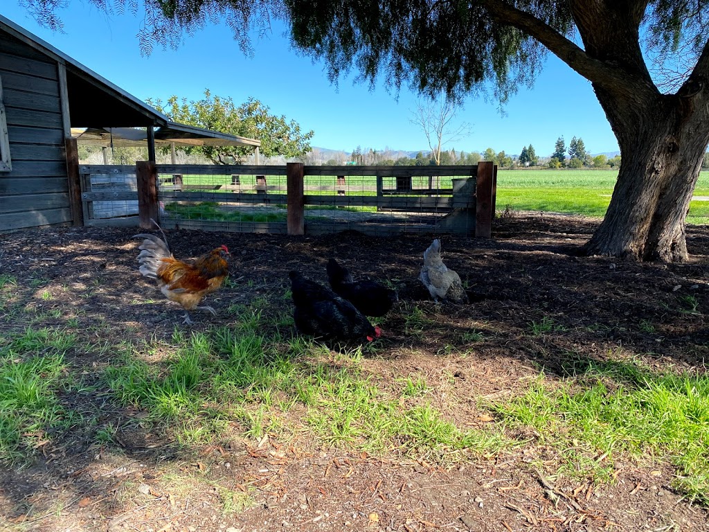 Ardenwood Historic Farm | 34600 Ardenwood Blvd, Fremont, CA 94555, USA | Phone: (510) 544-2797