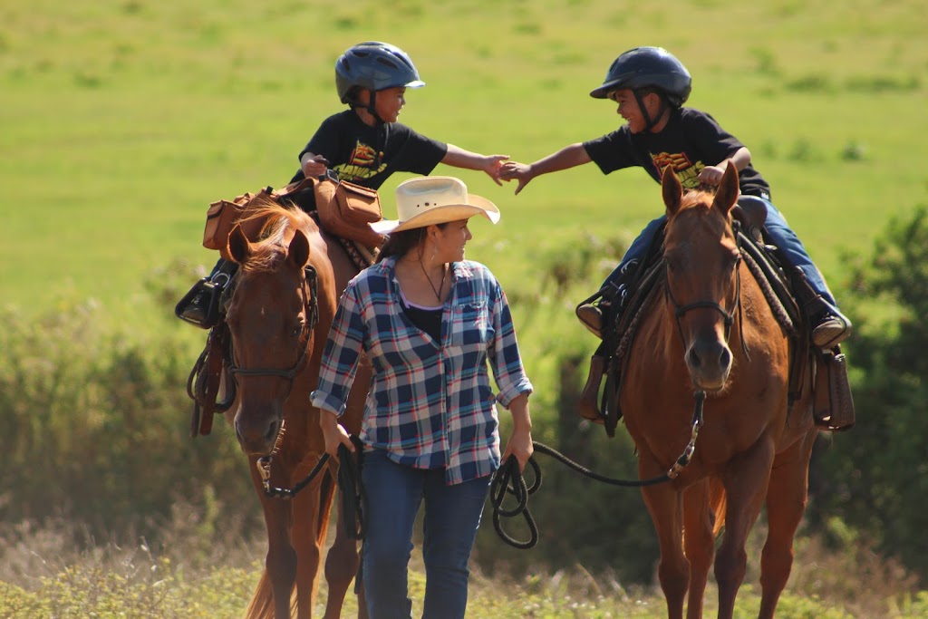 Gunstock Ranch | 56-250 Kamehameha Hwy, Kahuku, HI 96731, USA | Phone: (808) 341-3995