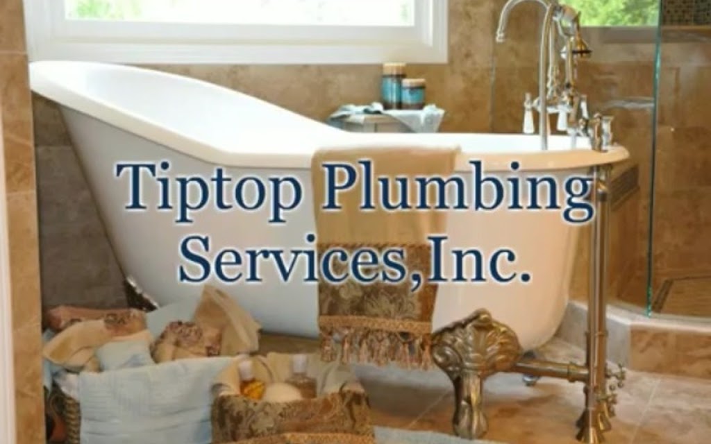 Tiptop Plumbing Services, Inc. | 313 Brook Hollow Ln, Loganville, GA 30052, USA | Phone: (678) 333-1687