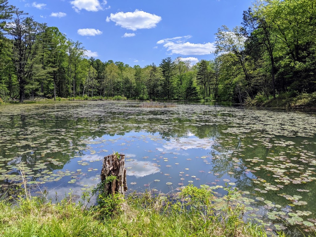 Wahkeena Nature Preserve | 2200 Pump Station Rd SE, Sugar Grove, OH 43155, USA | Phone: (800) 297-1883