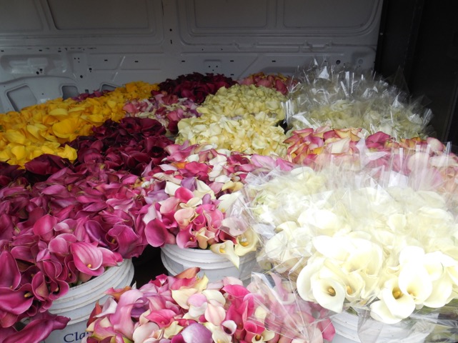 Lake Flowers Shippers Inc. | 175 Johnson Rd, Watsonville, CA 95076, USA | Phone: (831) 722-9104