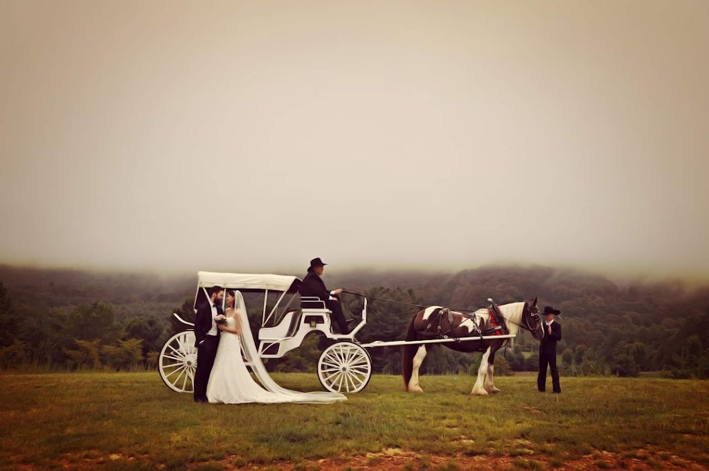 Dorvits Carriage Rides | 7141 Dennis Rd, Walnut Cove, NC 27052, USA | Phone: (336) 754-1172