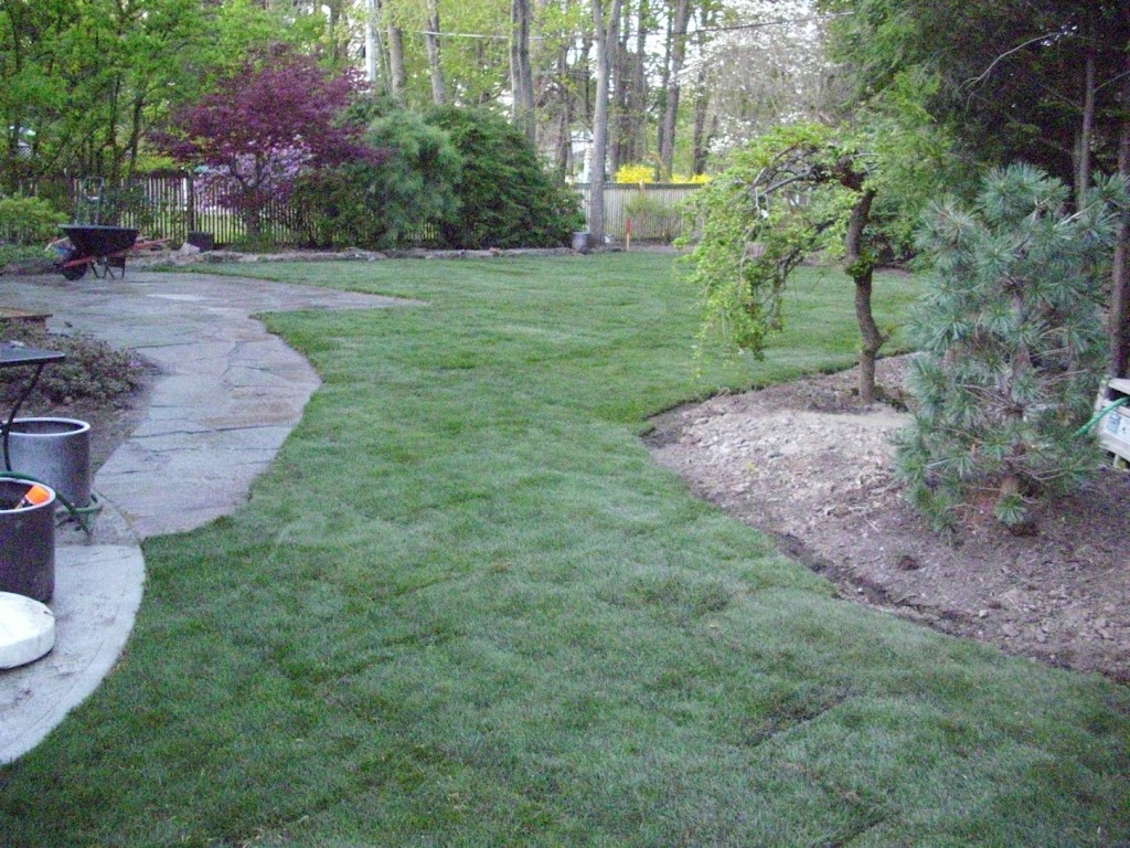 Pusatere Landscapes | 24 Thacher St, Albany, NY 12207, USA | Phone: (518) 703-0300
