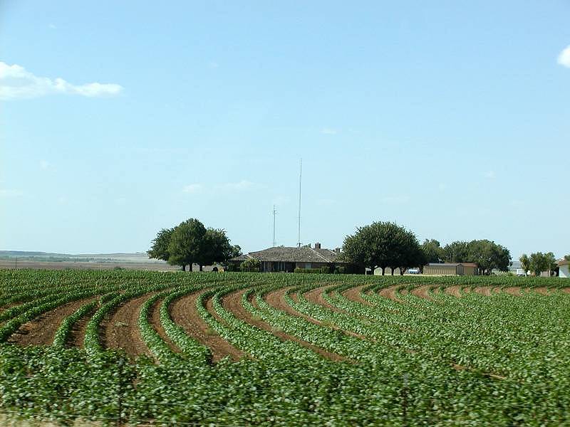 Aggrand Organic Fertilizer | 229 Los Robles Dr, Pleasanton, TX 78064 | Phone: (830) 570-0363