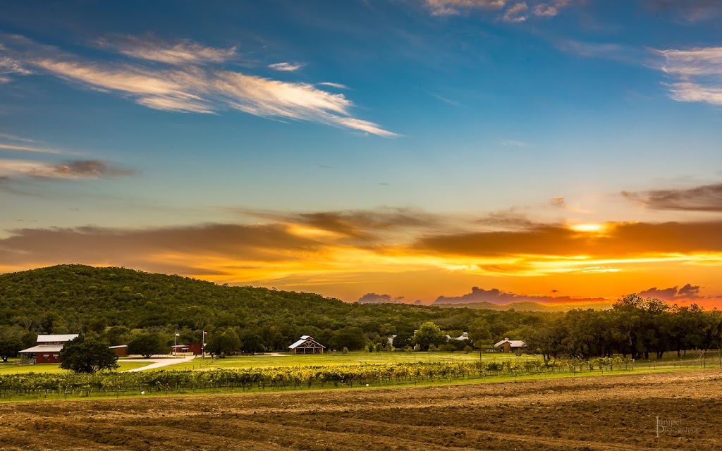 Singing Water Vineyards | 316 Mill Dam Rd, Comfort, TX 78013, USA | Phone: (830) 457-9006