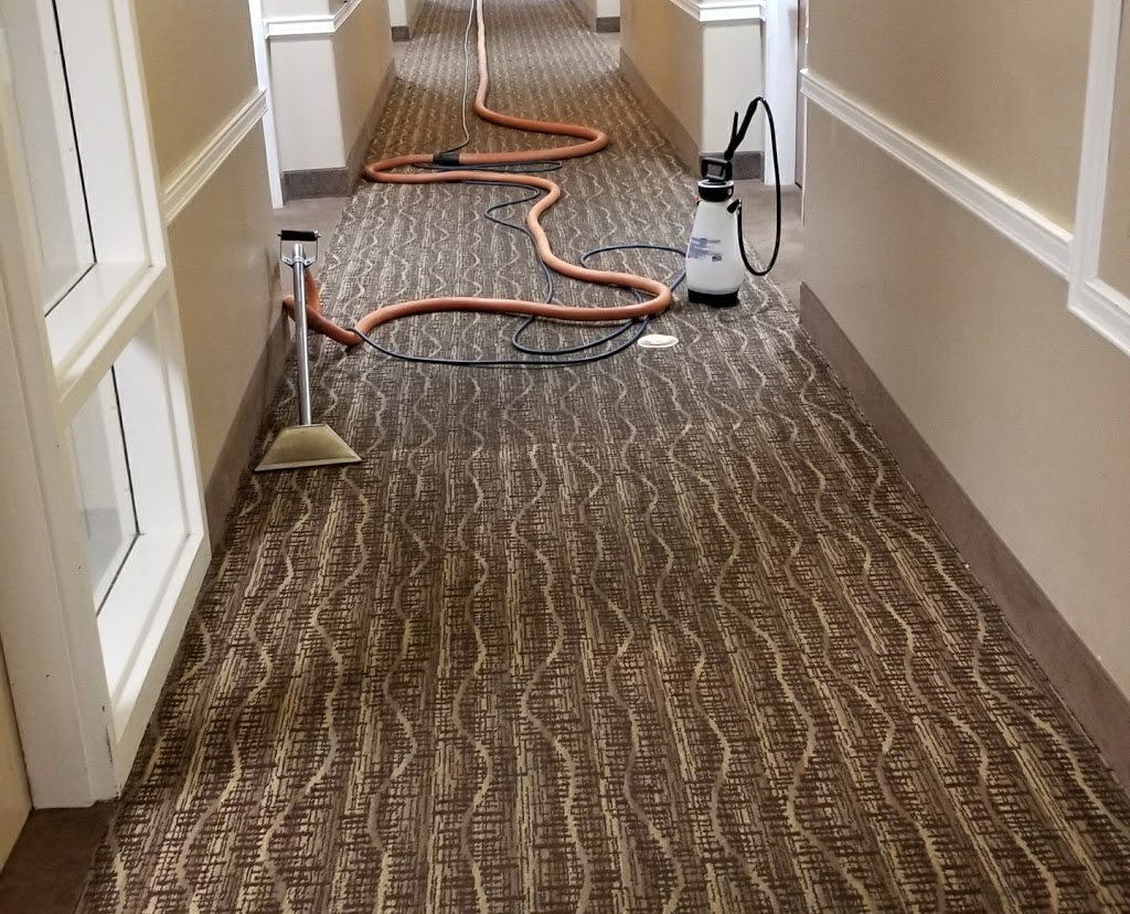 Carpet Doctor Cleaning Services | 8393 Rosemark Rd, Millington, TN 38053, USA | Phone: (901) 644-1442