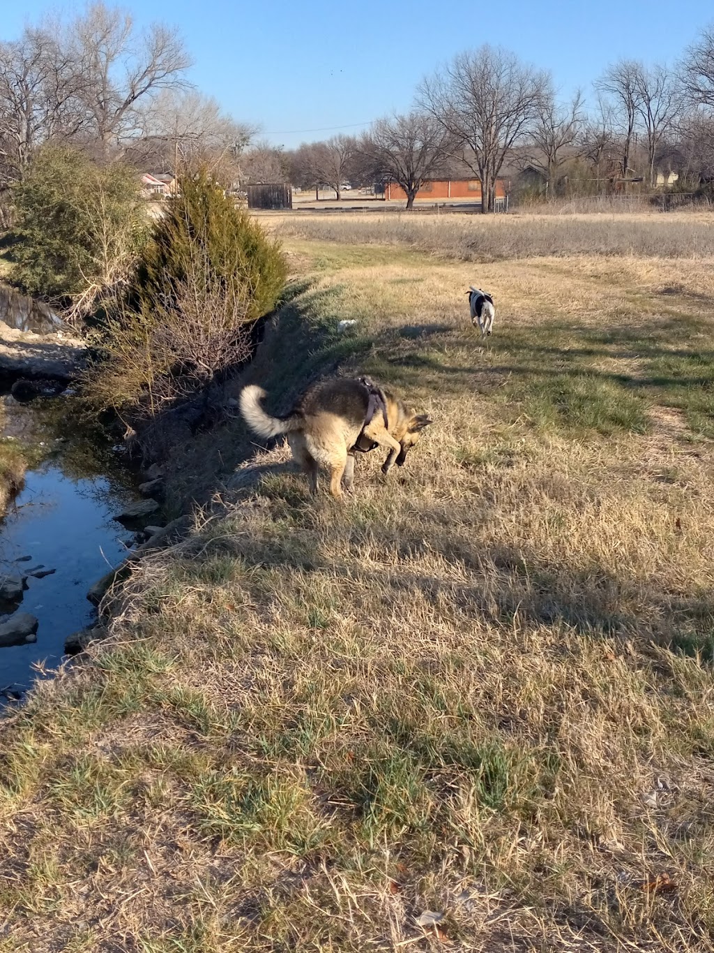 Seminary Hill Park | Fort Worth Community Services Division, 4200 South Fwy #2200, Fort Worth, TX 76115 | Phone: (817) 392-5700