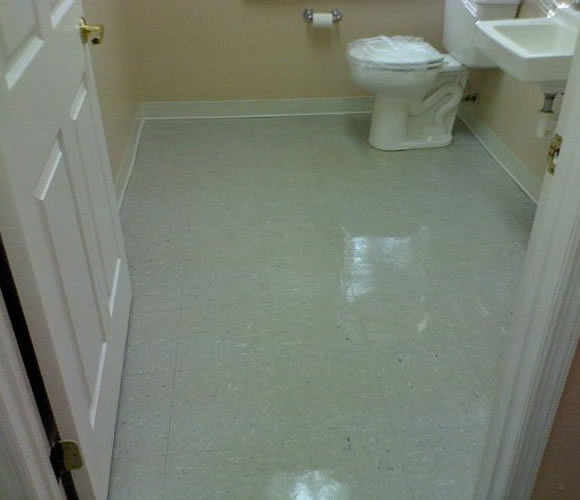 Platinum Floor Care | 12525 Walsingham Rd, Largo, FL 33774, USA | Phone: (727) 228-6410