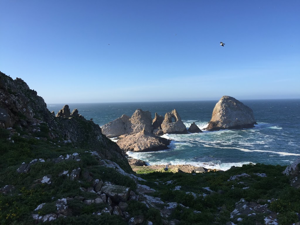 Farallon Islands | San Francisco, CA, USA | Phone: (415) 561-6625