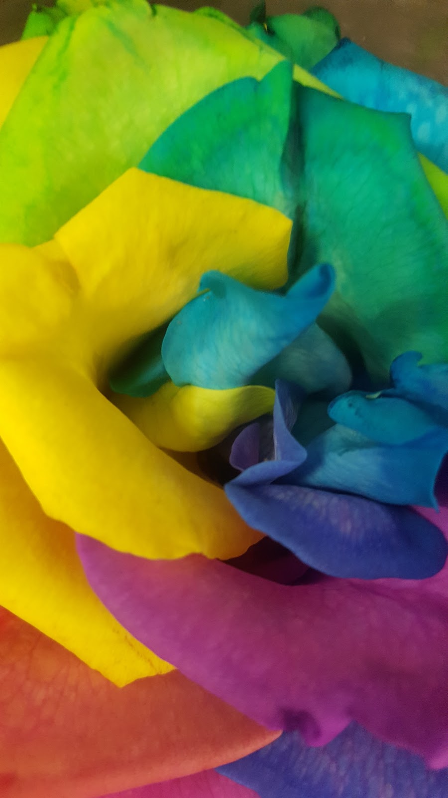 Beas Flowers and Gifts | 11720 Montana Ave Suite A5, El Paso, TX 79936, USA | Phone: (915) 204-6918
