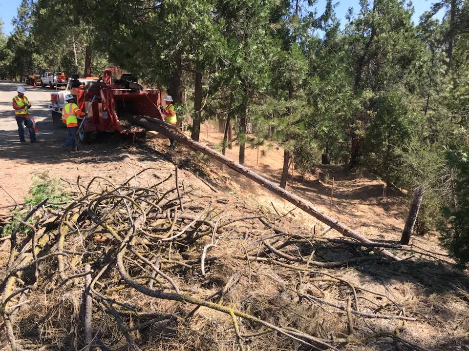 Central Sierra Pest Control, Inc. | 54566 Rd 200, North Fork, CA 93643, USA | Phone: (559) 658-6262