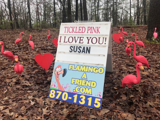 Flamingo A Friend | 110 Crosscut Rd, Alabaster, AL 35007, USA | Phone: (205) 870-1315