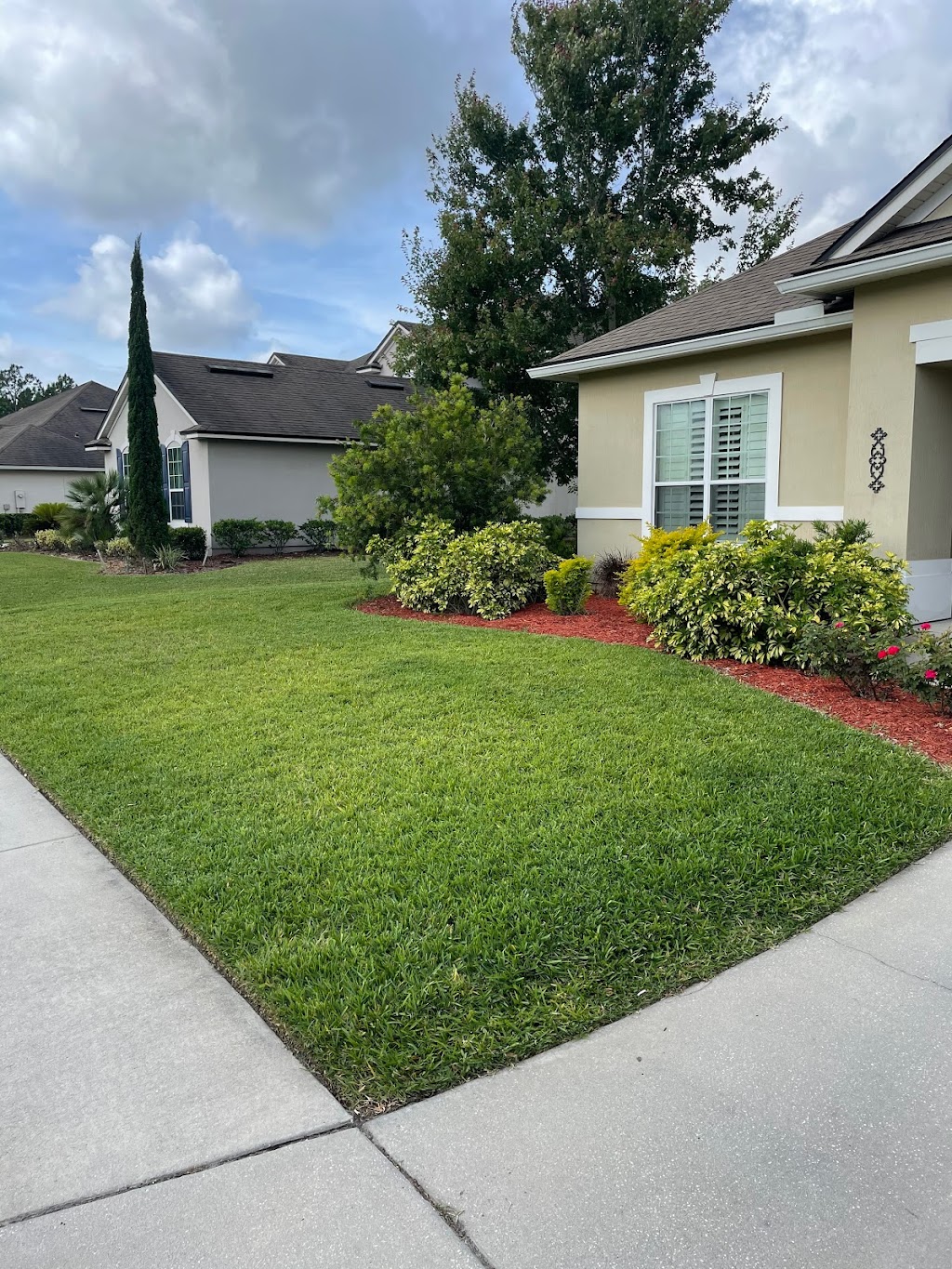 Pro Care Lawn and Pest | 5429 Ramona Blvd, Jacksonville, FL 32205 | Phone: (904) 288-8494