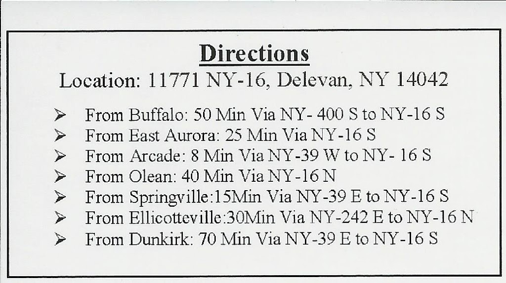 Loomis Delevan Drive In | 11771 NY-16, Delevan, NY 14042, USA | Phone: (716) 496-5660