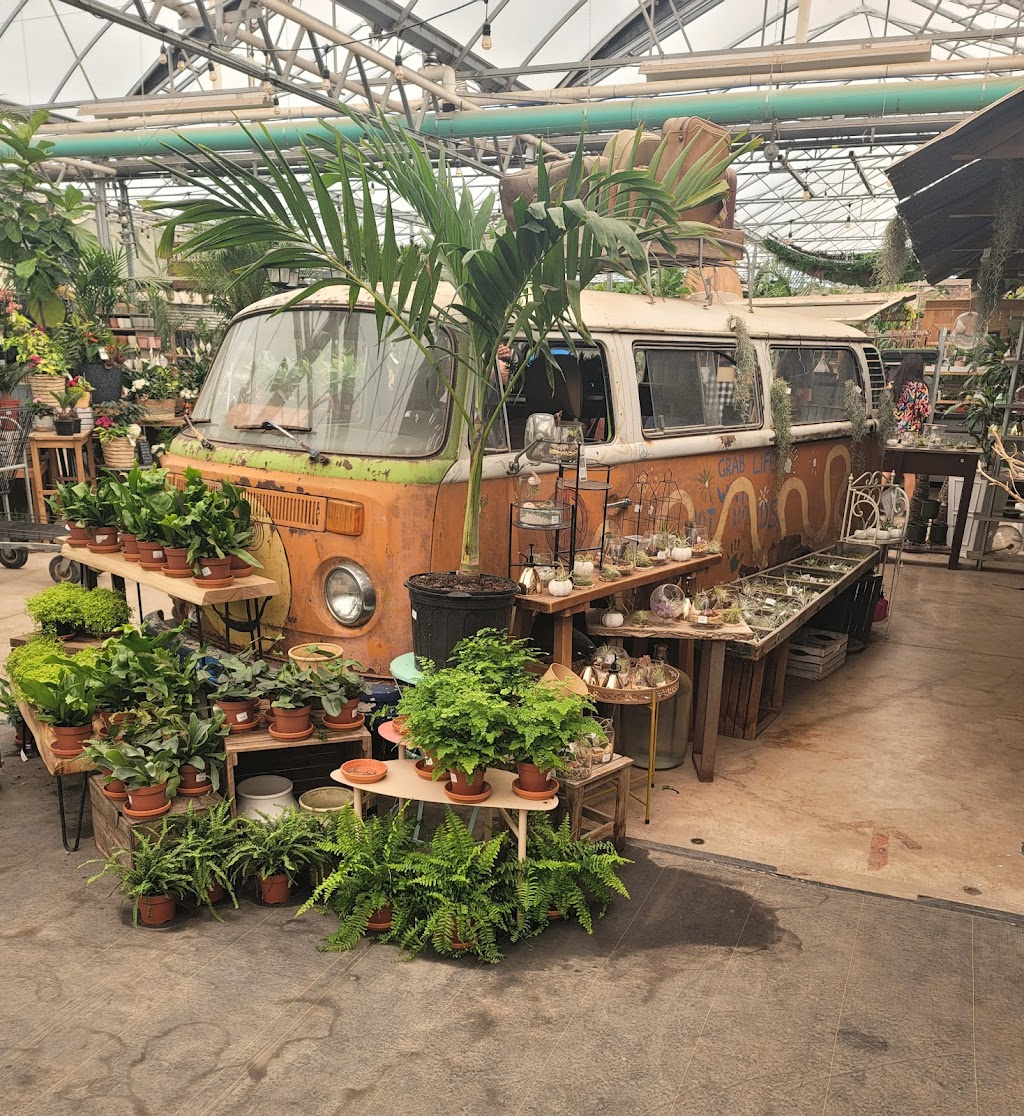 The Watering Can Flower Market | 3711 King St, Vineland, ON L0R 2C0, Canada | Phone: (905) 562-0088