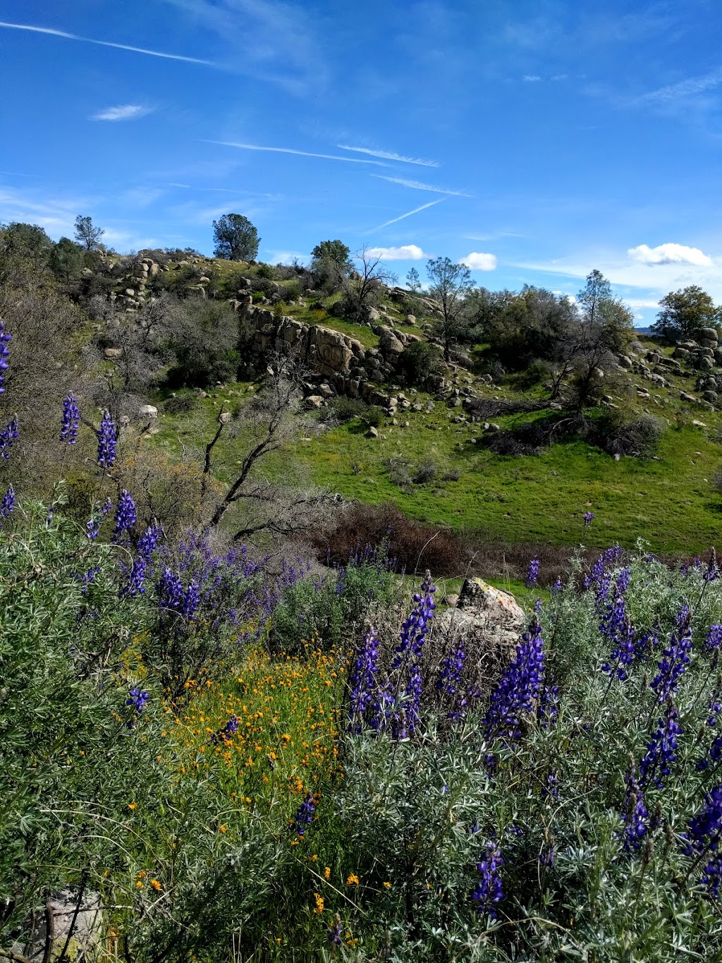 Monument Ridge Trail At Eastman Lake | eastman Lake, Raymond, CA 93653, USA | Phone: (559) 689-3255