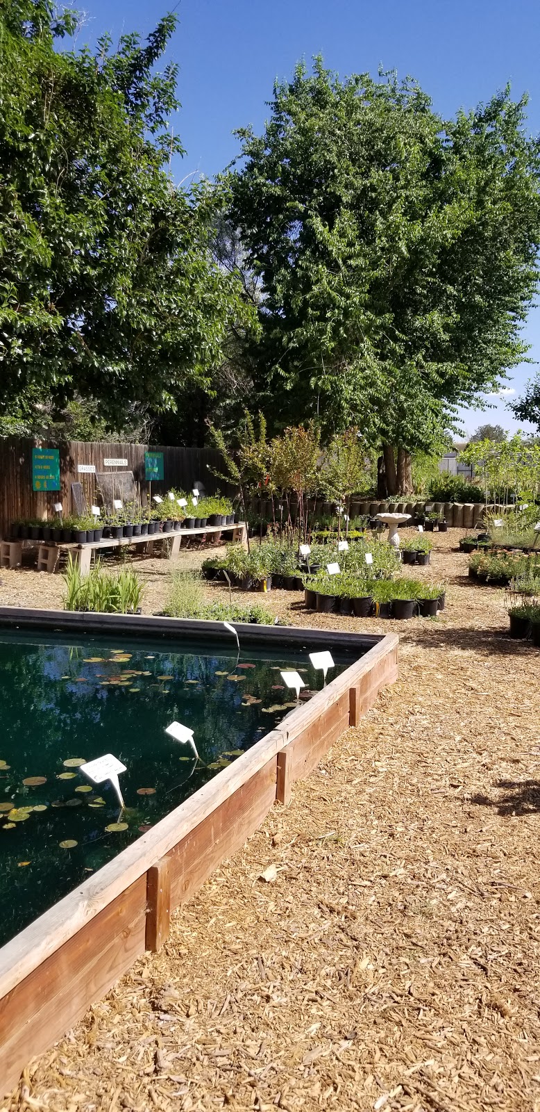 Albuquerque Water Gardens & Nursery | 1800 Candelaria Rd NW, Albuquerque, NM 87107, USA | Phone: (505) 246-8278
